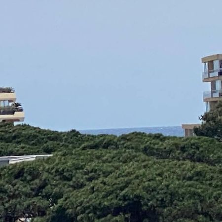 Tres Beau T4 A Frejus Plage Apartment Екстериор снимка