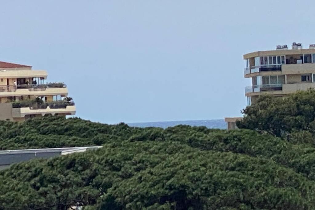 Tres Beau T4 A Frejus Plage Apartment Екстериор снимка
